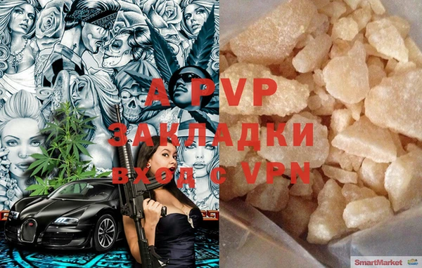 стафф Новодвинск