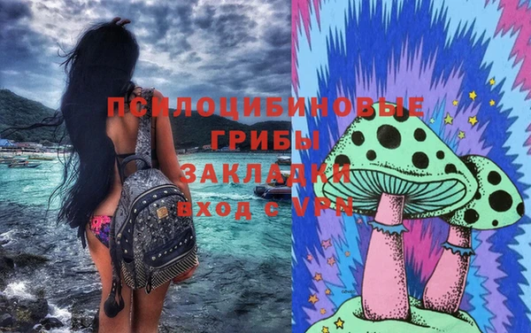 стафф Новодвинск
