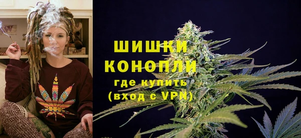 ешки Новозыбков