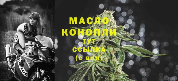 стафф Новодвинск