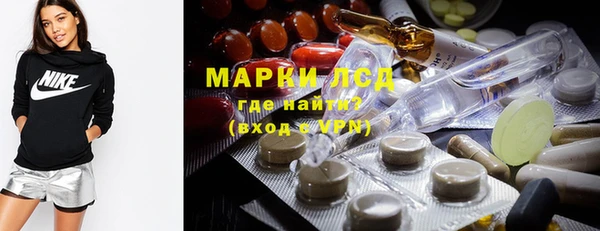 стафф Новодвинск