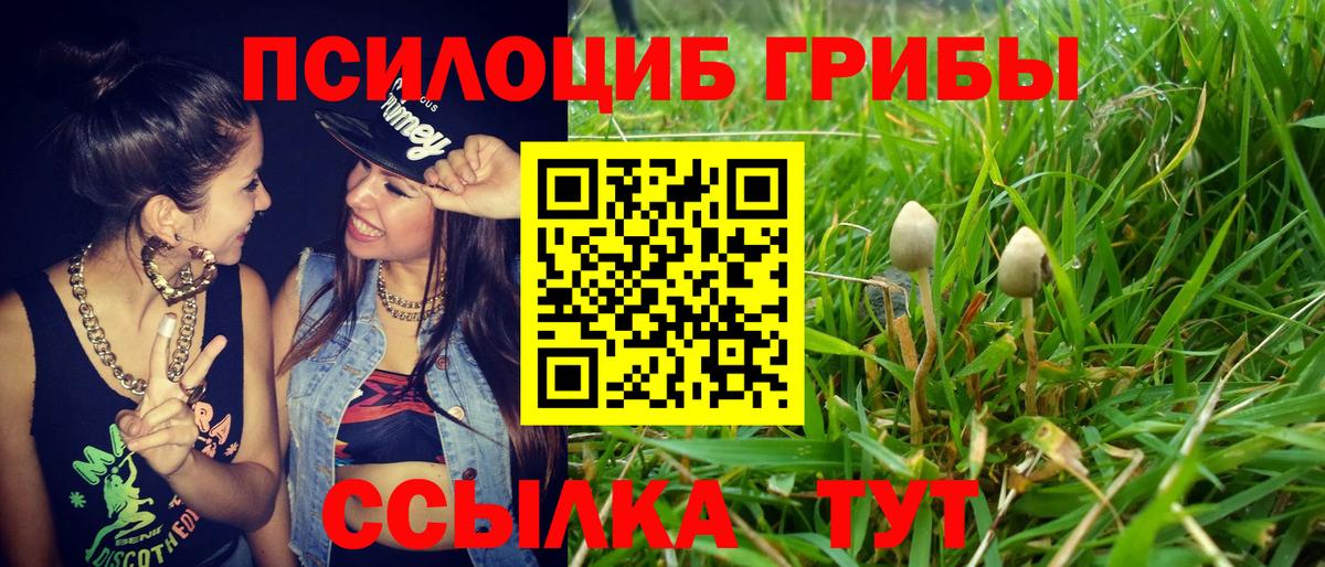 Галлюциногенные грибы Psilocybe  даркнет сайт  Балашиха 