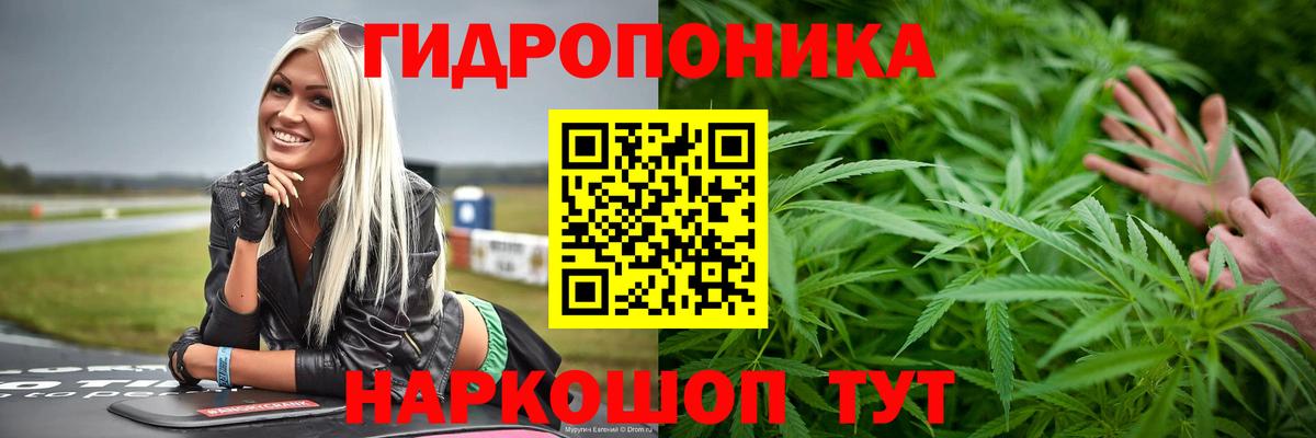 Конопля конопля  Канабис White Widow  Балашиха 